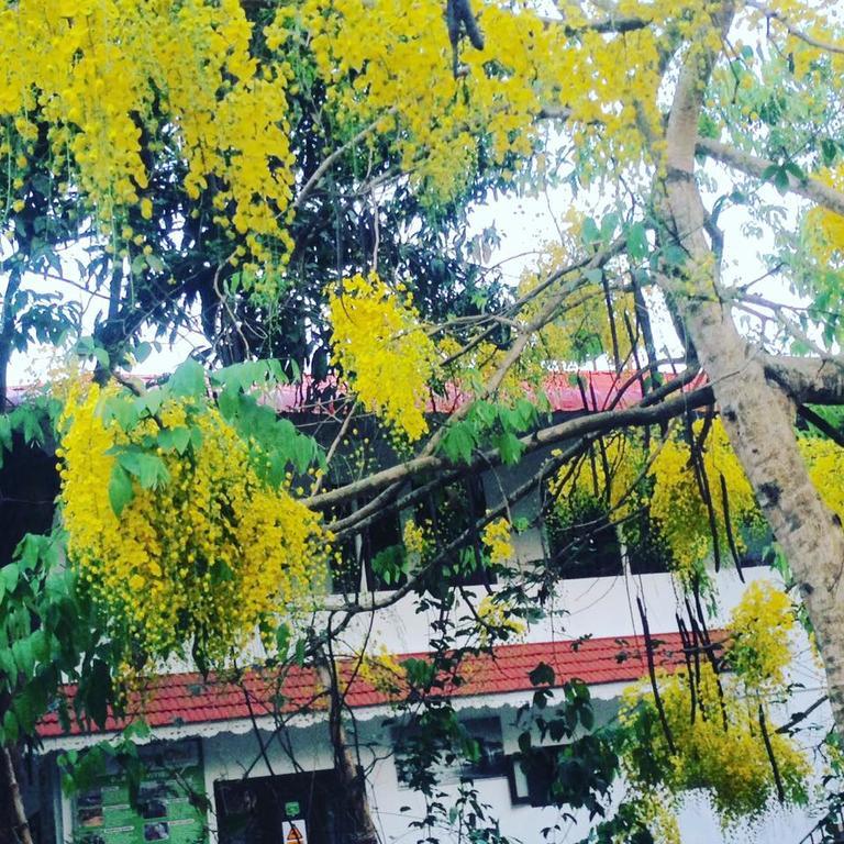 Green Leaf Home Stay Теккади Экстерьер фото
